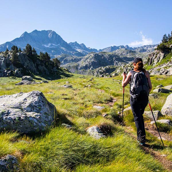Se balader en pleine nature 